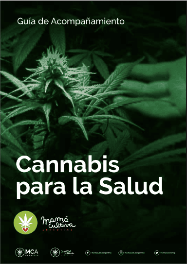 Guía de Acompañamiento