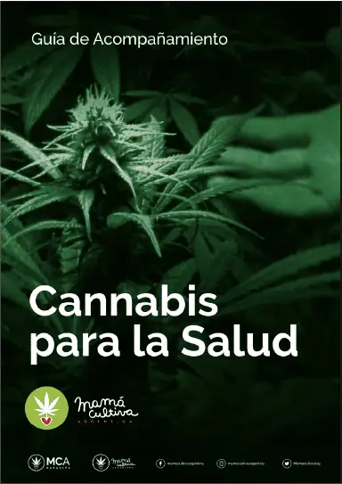 Guía de Acompañamiento