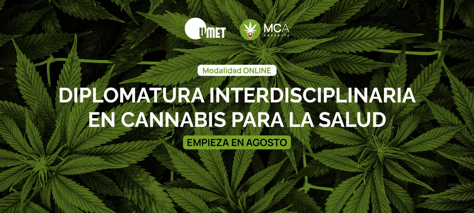 Diplomatura Interdisciplinaria en Cannabis para la Salud – Empieza en Agosto